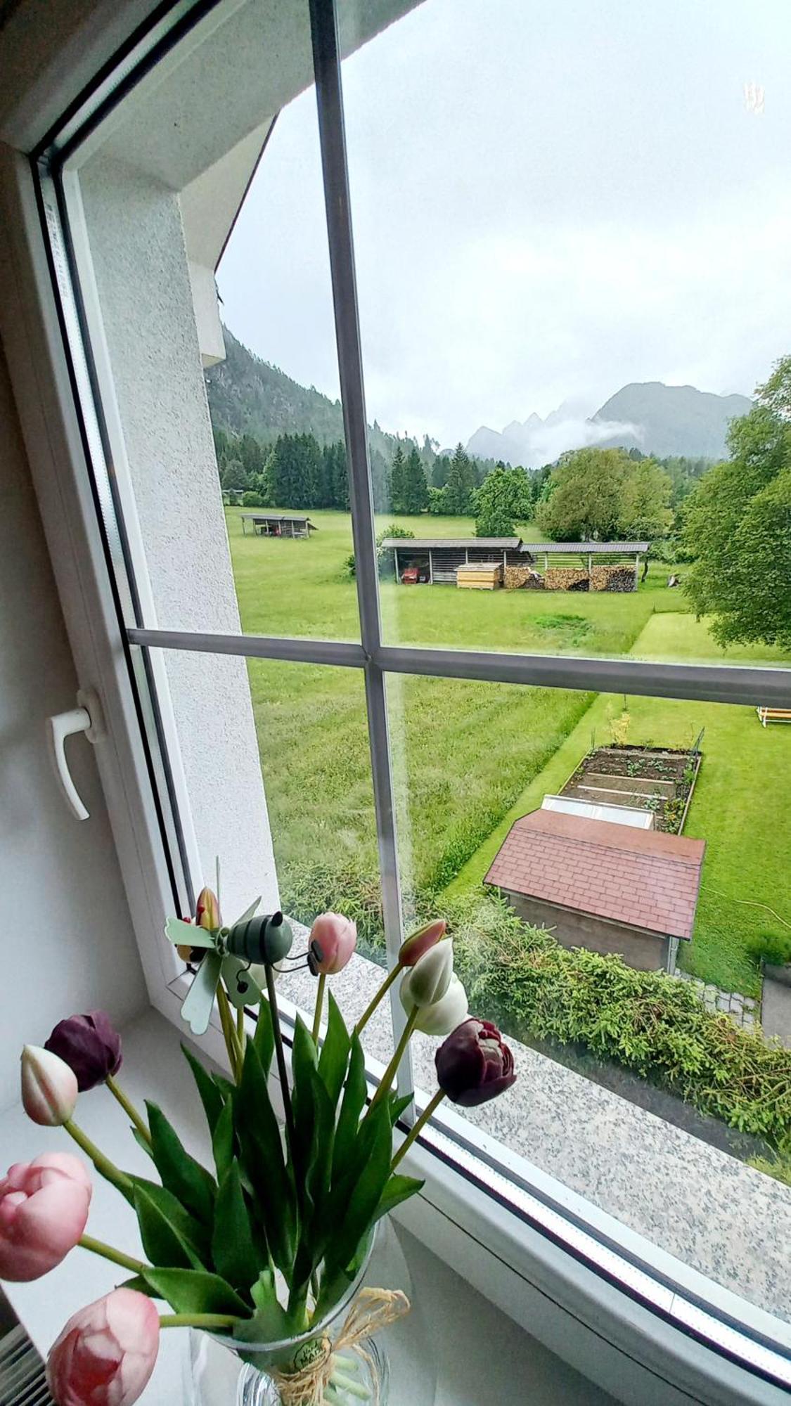 Apartma Rozle Mojstrana Exterior photo